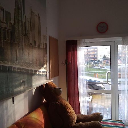 Apartament Przy Parku Noclegi Плоцк Екстериор снимка